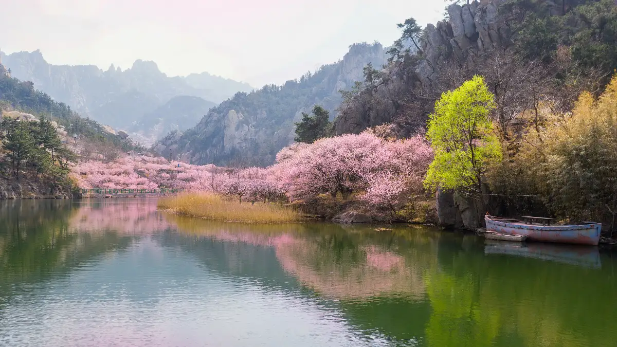 The Best Time to Visit Laoshan: Seasons, Sunrise & Crowds