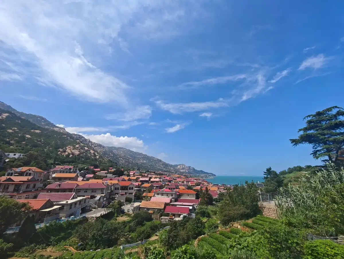 Red roofs and tea terraces of Qingshan Fishing Village by the sea