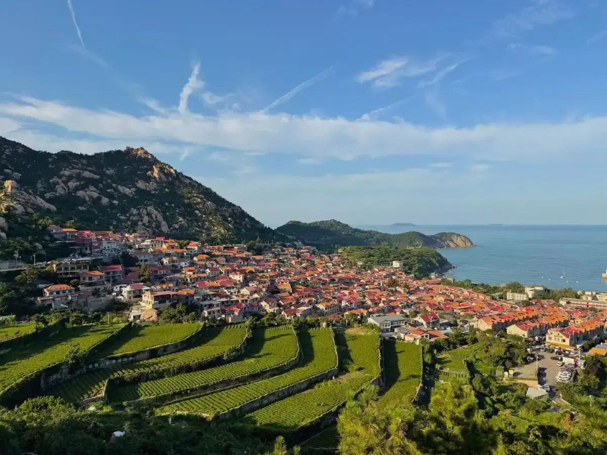 Terraced tea fields of Qingshan village sloping to the sea